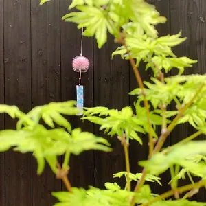 桃夭庵 Touyouan Momo House Kujo 一棟貸切 , Kyoto Japan