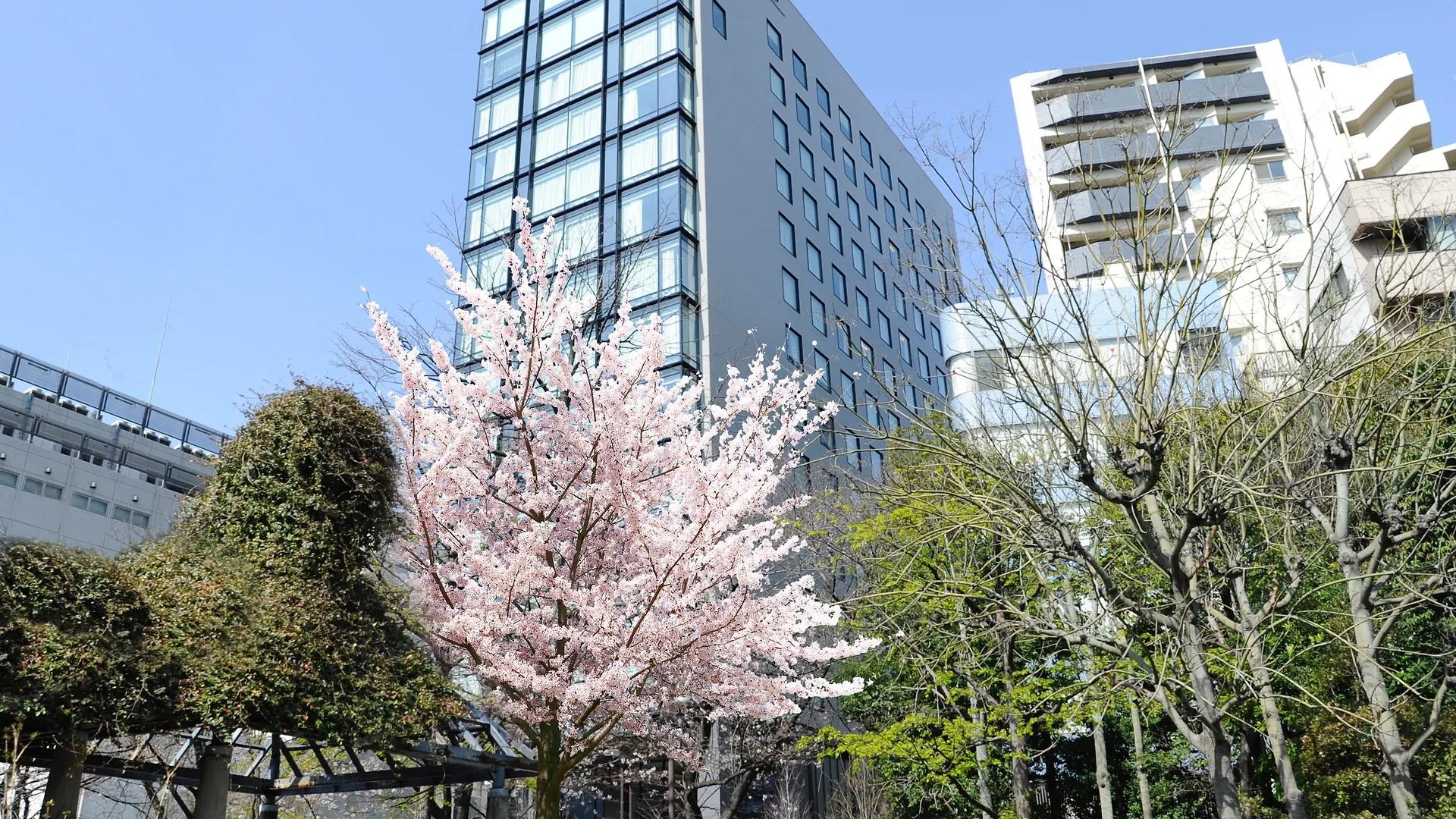 Hotel Keihan Tsukiji Ginza Grande Tokyo